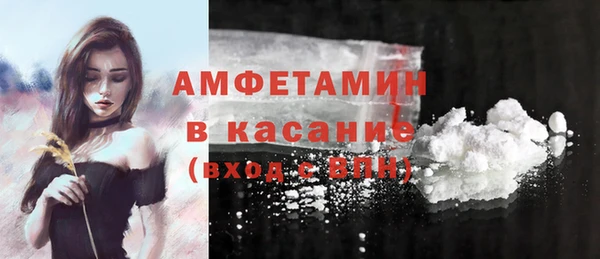 apvp Вяземский