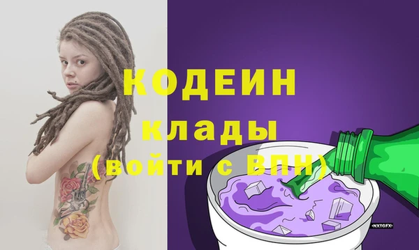 apvp Вяземский