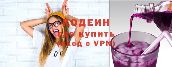 apvp Вяземский