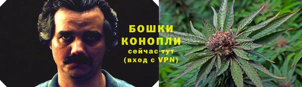 apvp Вяземский