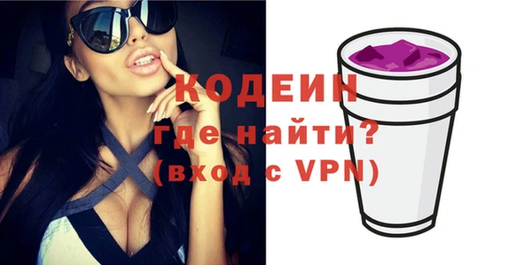 apvp Вяземский