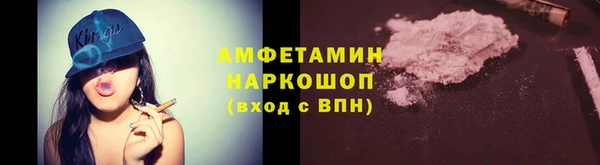 apvp Вяземский