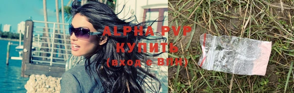 apvp Вяземский