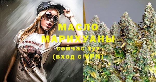 apvp Вяземский