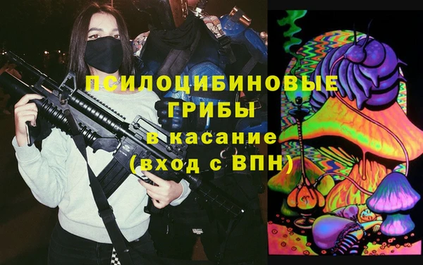 apvp Вяземский