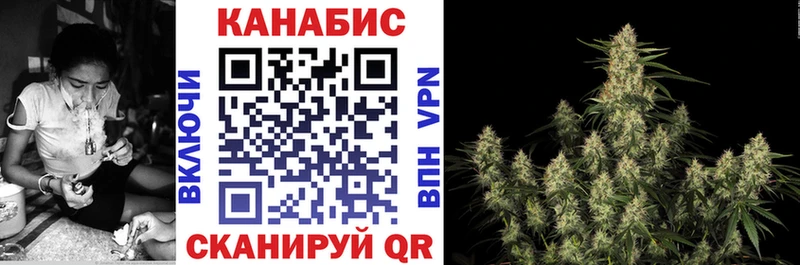 наркотики  Севастополь  Конопля конопля 